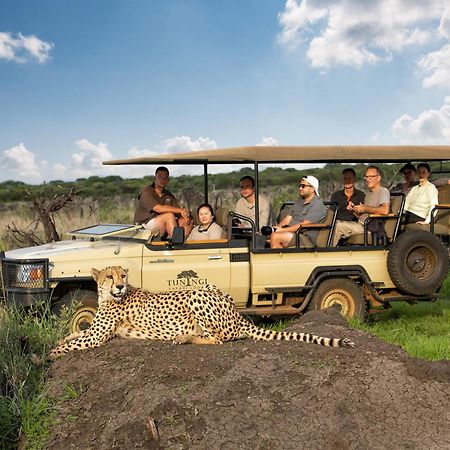 Tuningi Safari Lodge 매디퀘동물보호구역 외부 사진