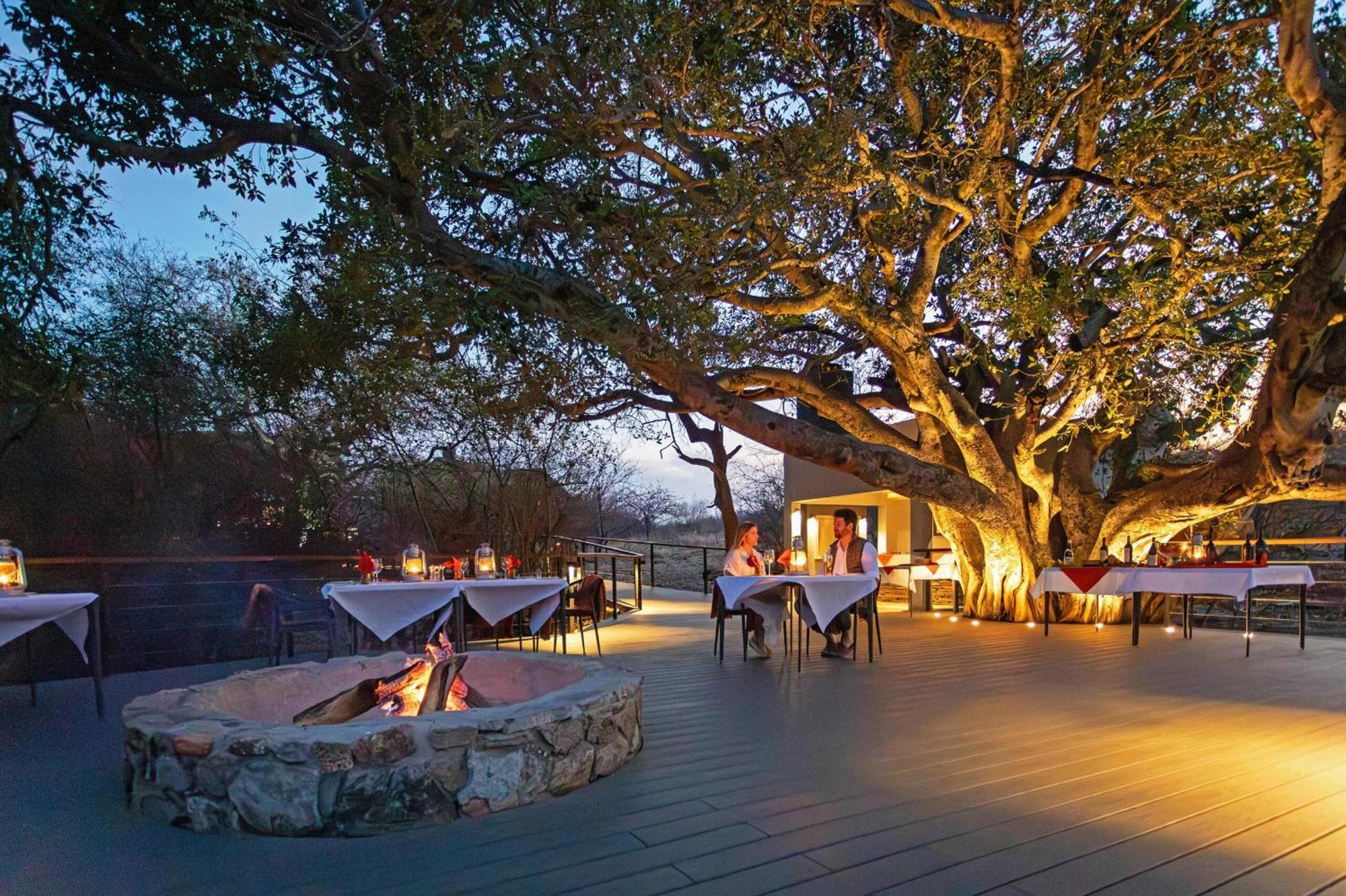 Tuningi Safari Lodge 매디퀘동물보호구역 외부 사진