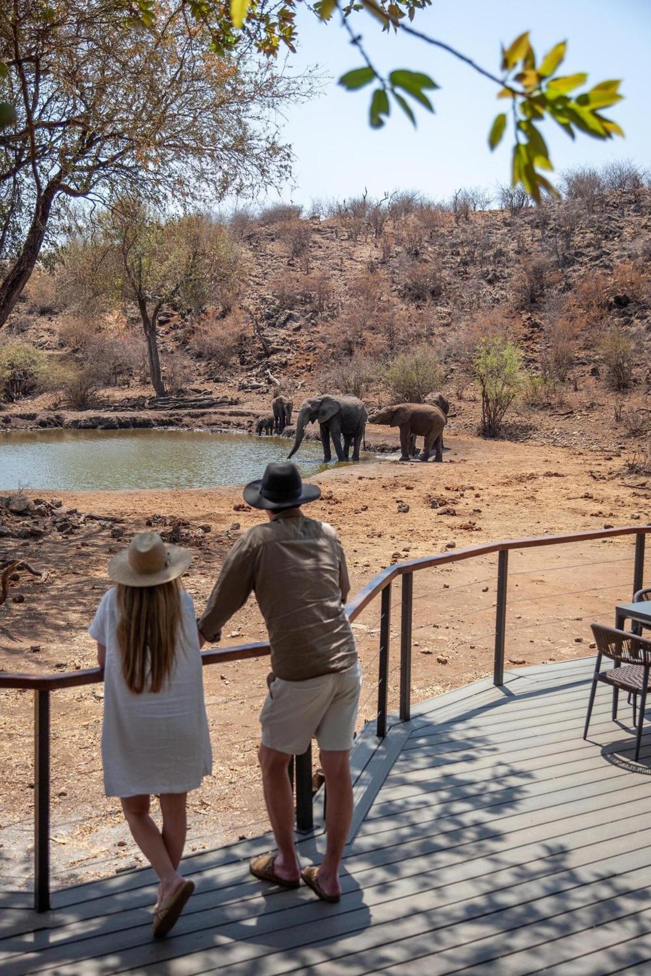 Tuningi Safari Lodge 매디퀘동물보호구역 외부 사진