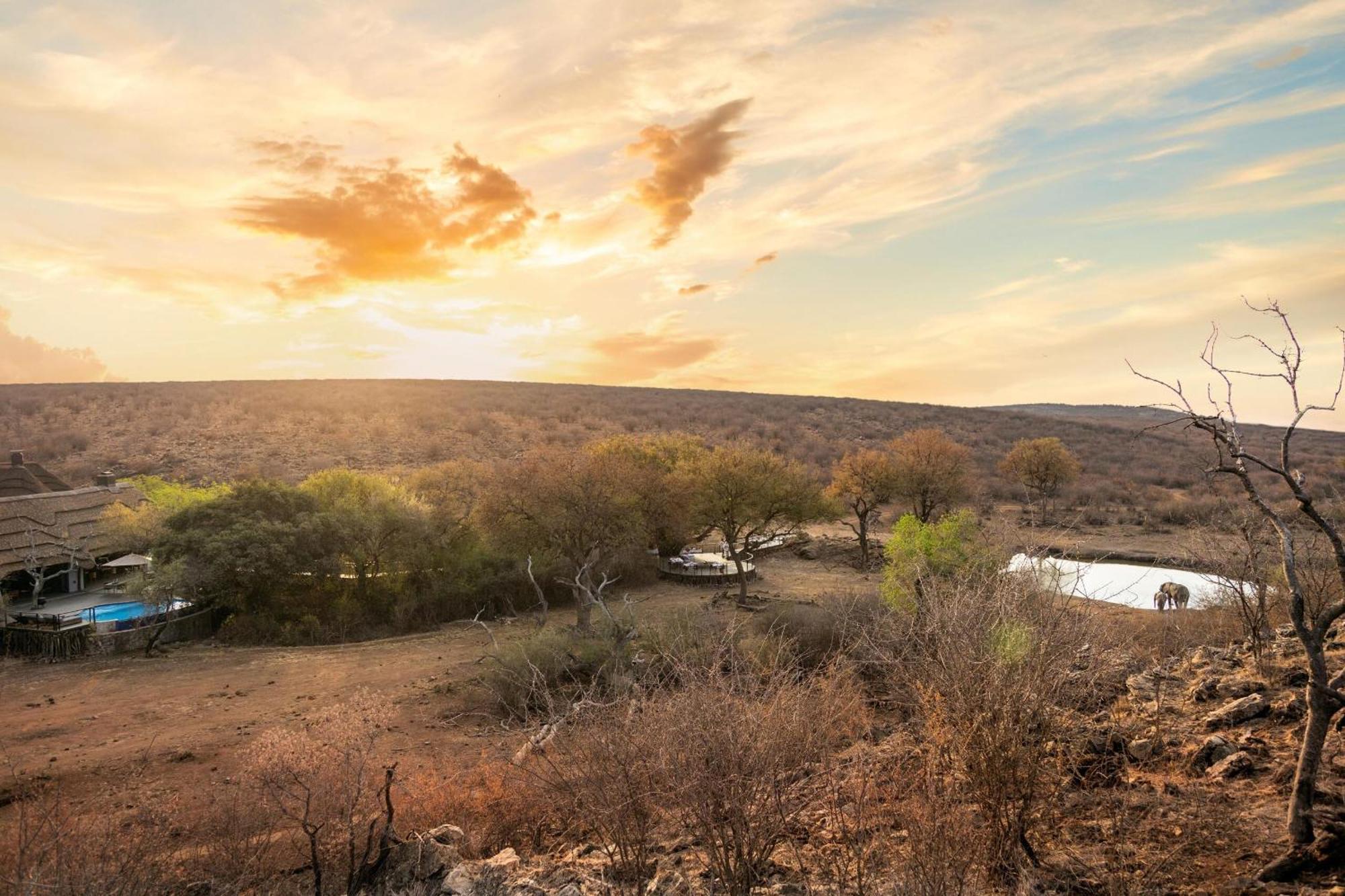 Tuningi Safari Lodge 매디퀘동물보호구역 외부 사진