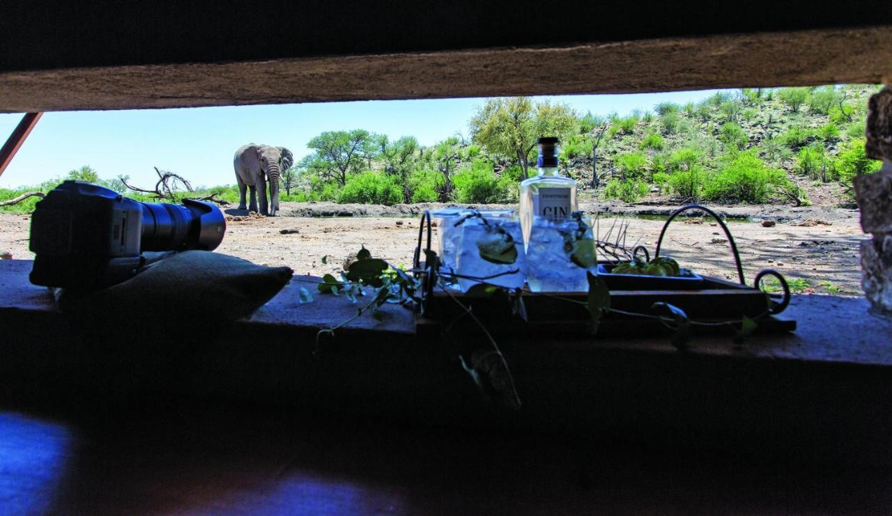 Tuningi Safari Lodge 매디퀘동물보호구역 외부 사진